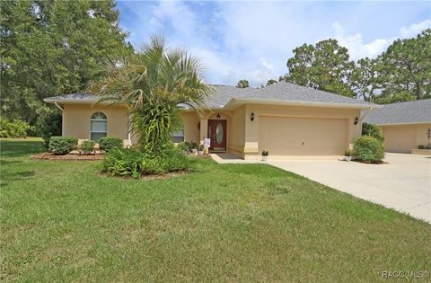3980 N Buckhorn Drive Beverly Hills FL 34465