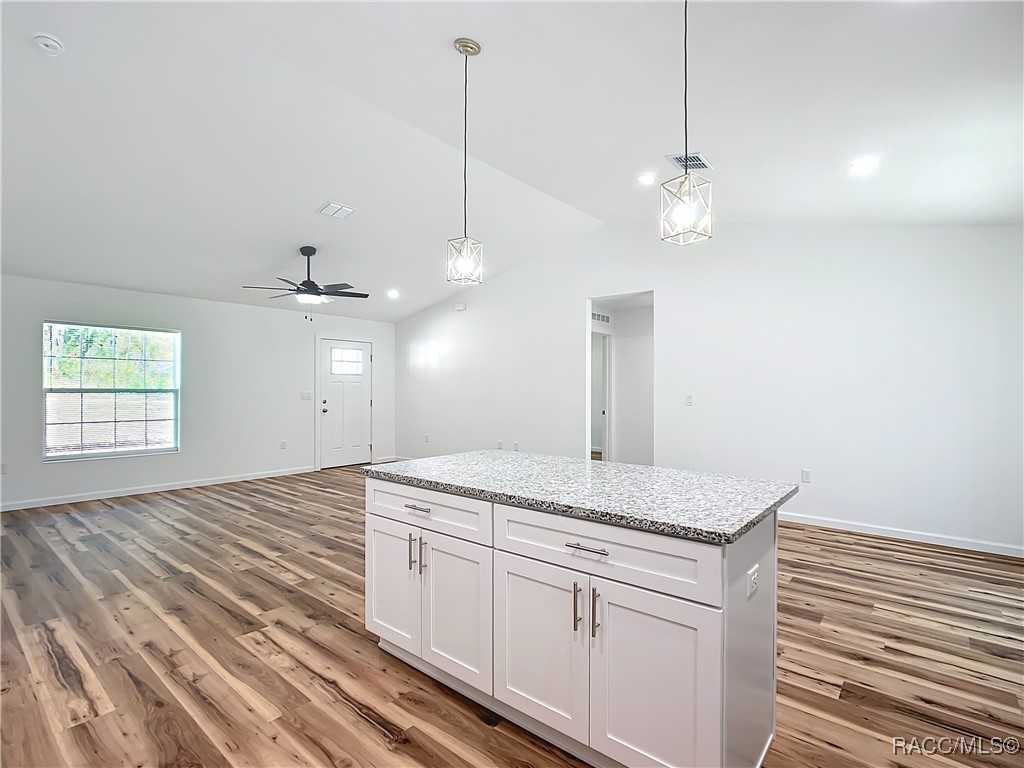 3566 S Dean Terrace, Inverness, Florida image 21