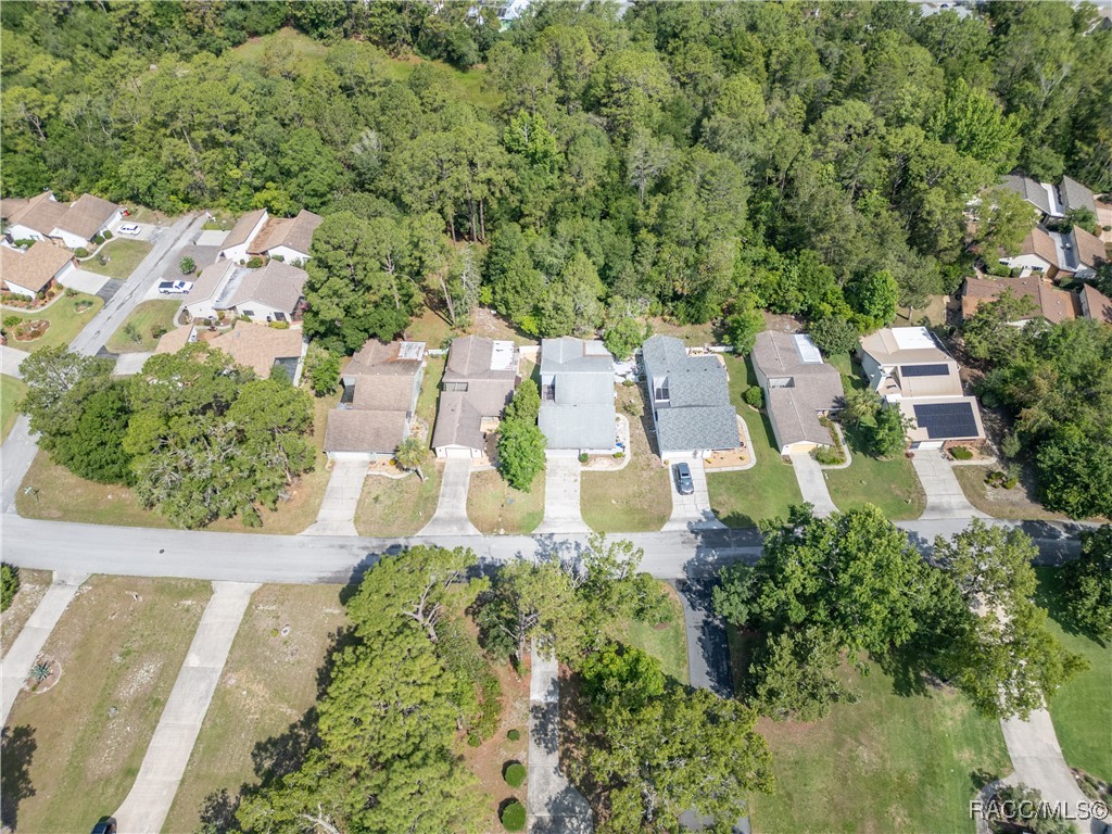 18 Bumelia Court, Homosassa, Florida image 3