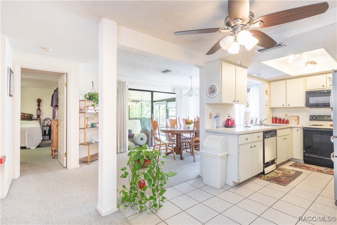 18 Bumelia Court, Homosassa, Florida image 9