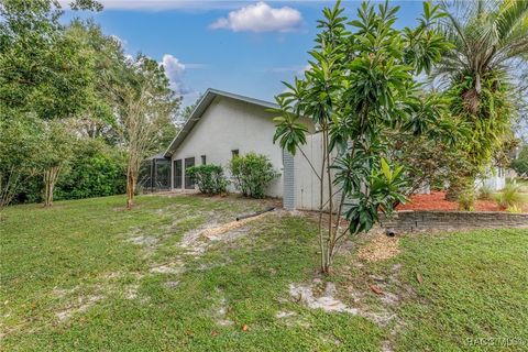 A home in Homosassa