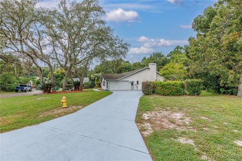 A home in Homosassa