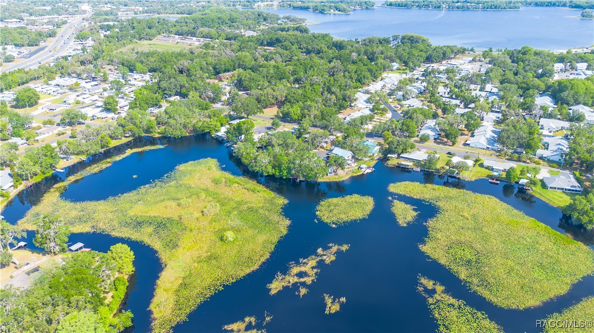 525 Elm Court, Inverness, Florida image 47