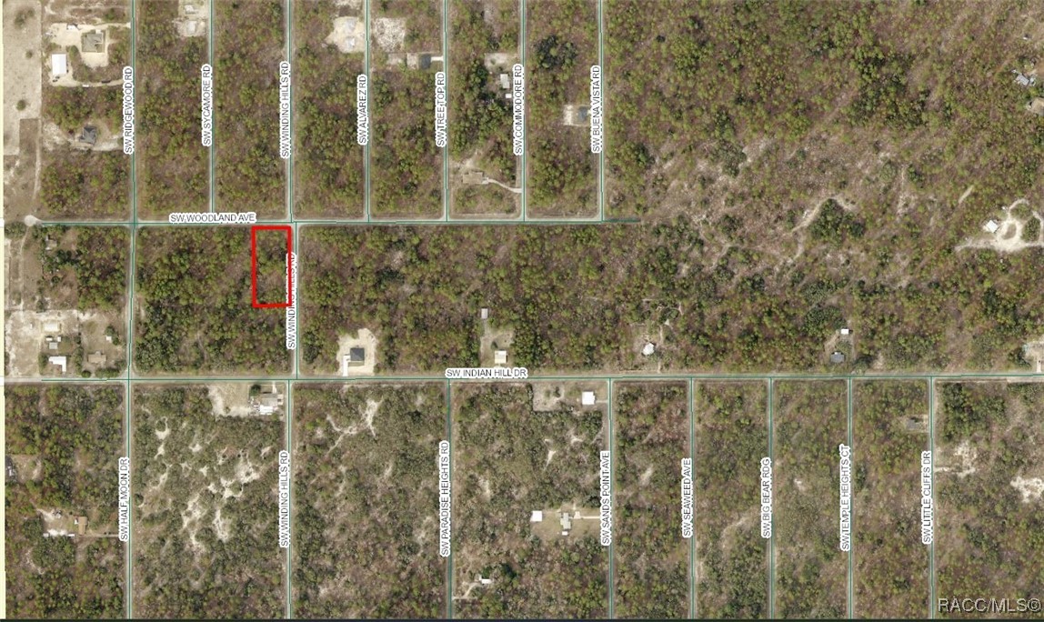 1815-001-001 SW Winding Hills Road, Dunnellon, Florida image 2