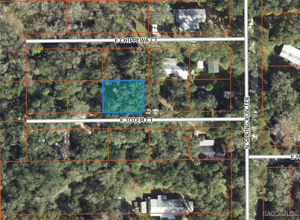 6929 E Totem Court, Hernando, Florida image 1