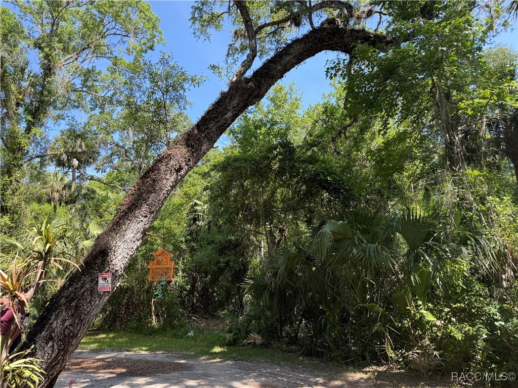 6929 E Totem Court, Hernando, Florida image 2