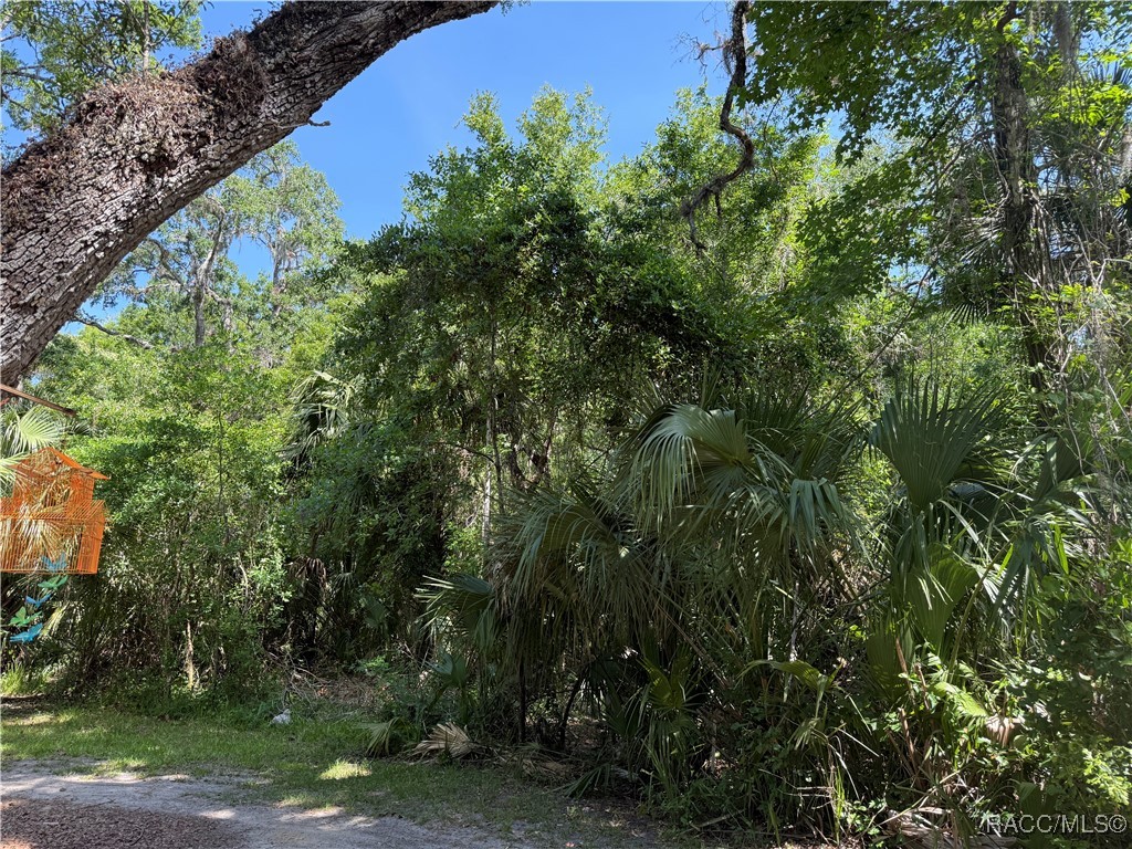 6929 E Totem Court, Hernando, Florida image 6