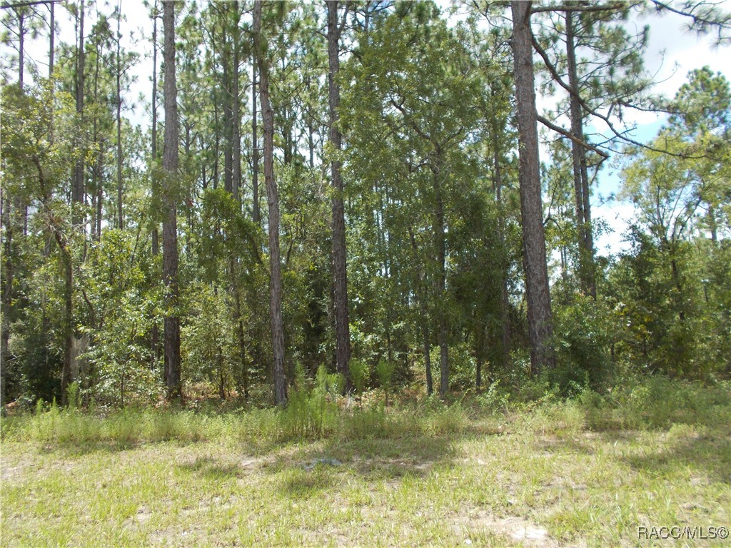 Citrus Springs, Florida 34434, United States, ,Land,Active,196058