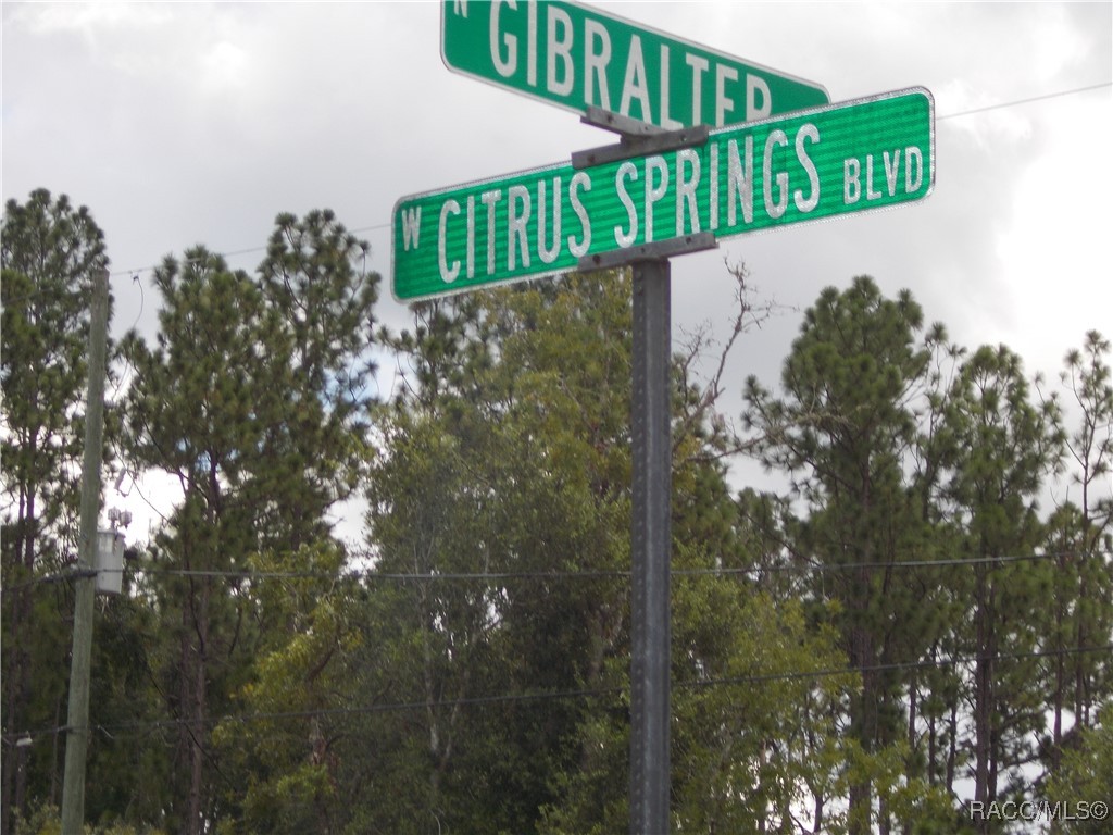 Citrus Springs, Florida 34434, United States, ,Land,Active,196058