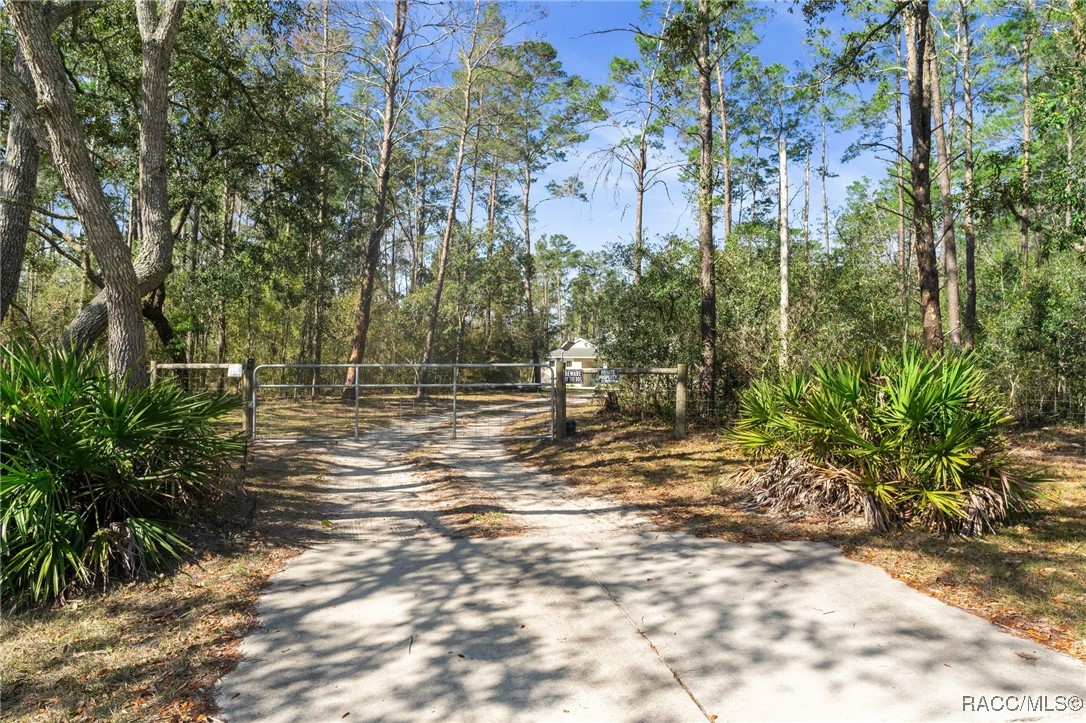 5664 S Chestnut Terrace, Lecanto, Florida image 4