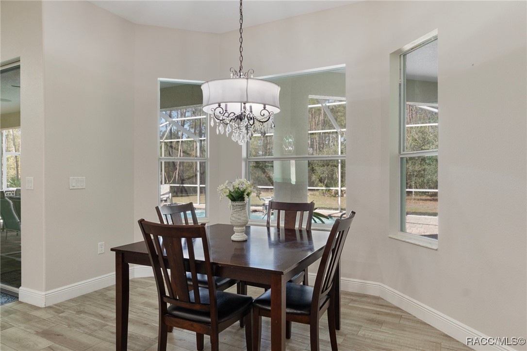 5664 S Chestnut Terrace, Lecanto, Florida image 22