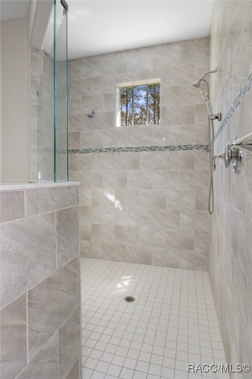 5664 S Chestnut Terrace, Lecanto, Florida image 34
