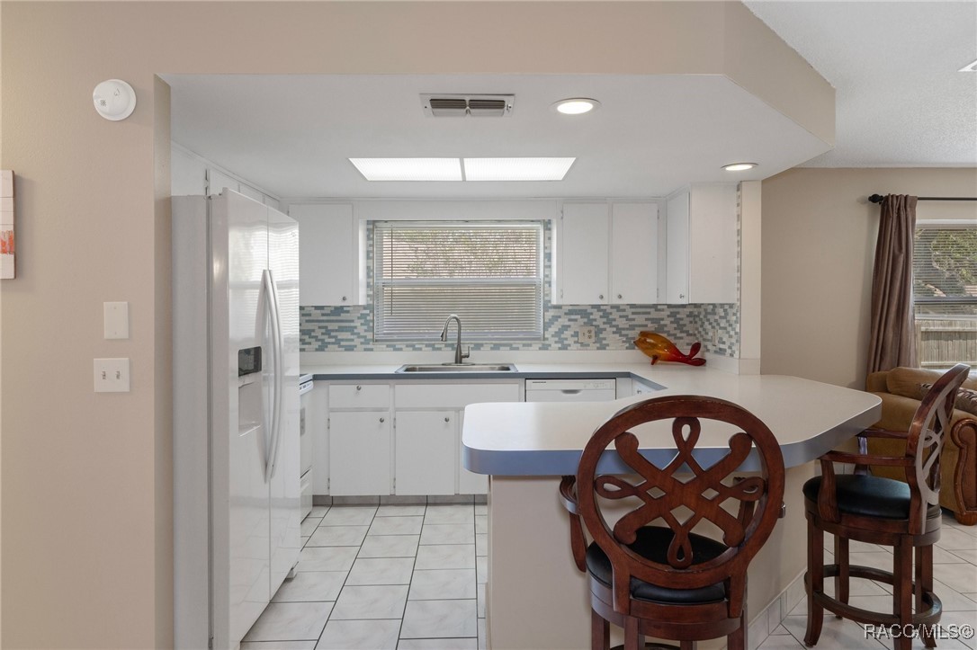 5118 W Kristina Loop, Lecanto, Florida image 5