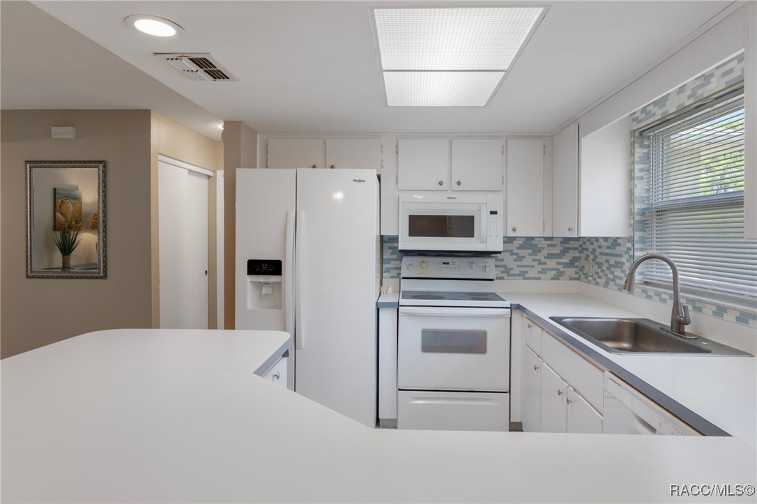 5118 W Kristina Loop, Lecanto, Florida image 15