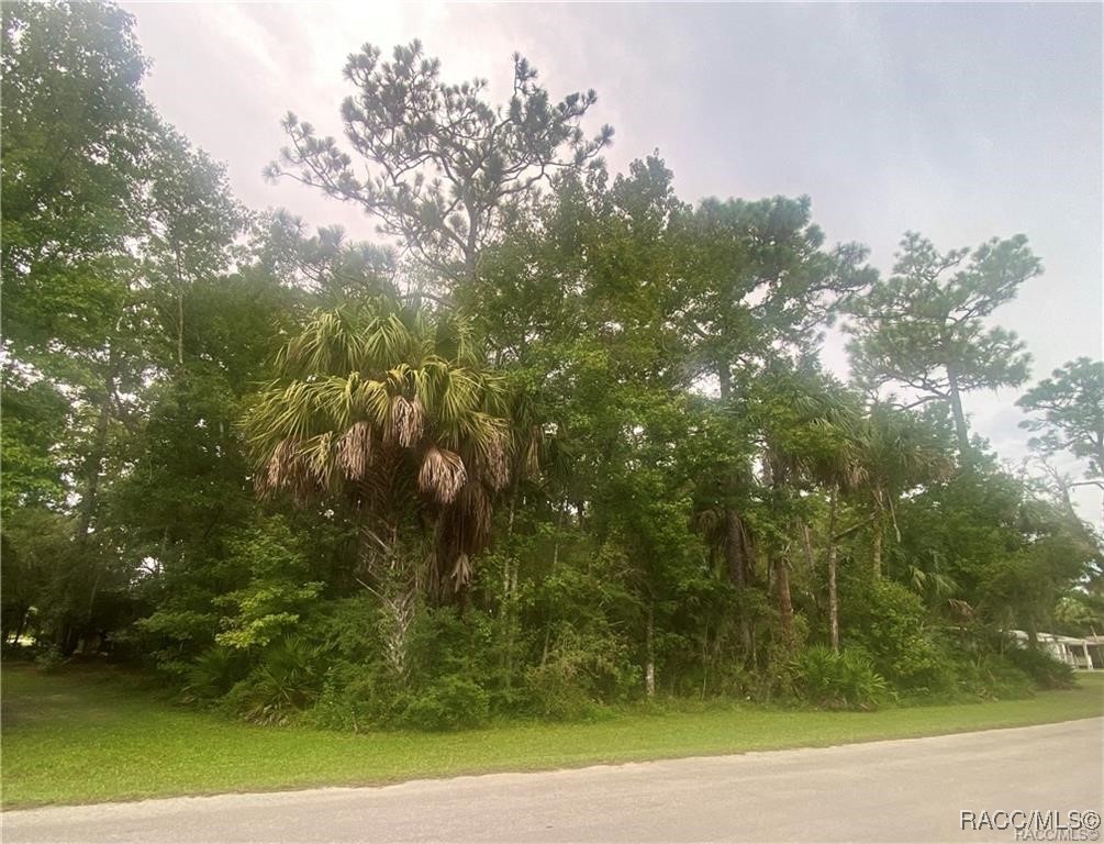 4300 N Williams Avenue, Crystal River, Florida image 2