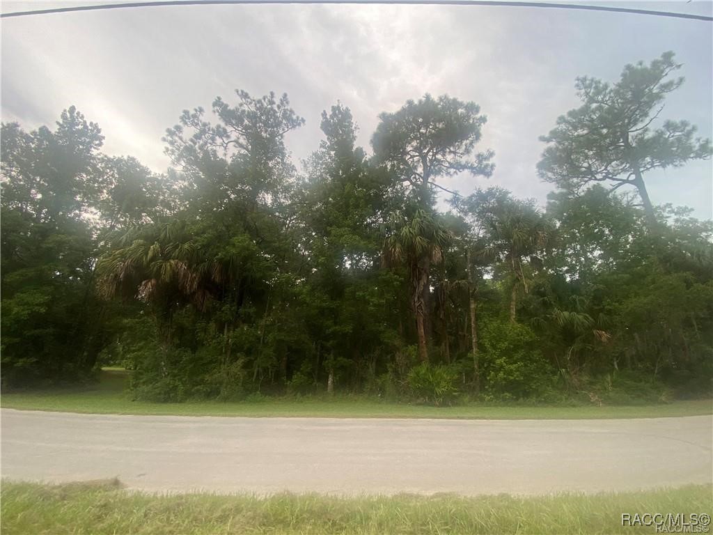 4300 N Williams Avenue, Crystal River, Florida image 4