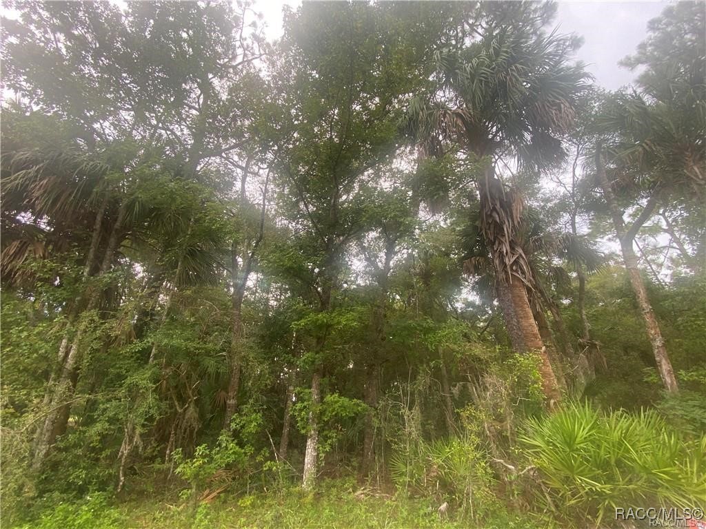 4300 N Williams Avenue, Crystal River, Florida image 6