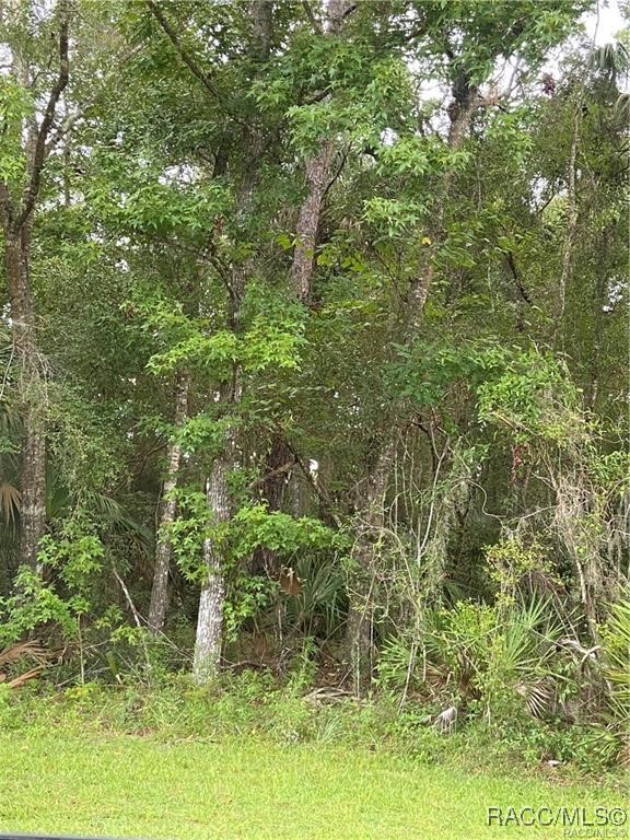 4300 N Williams Avenue, Crystal River, Florida image 3