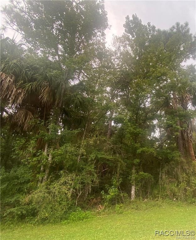 4300 N Williams Avenue, Crystal River, Florida image 5