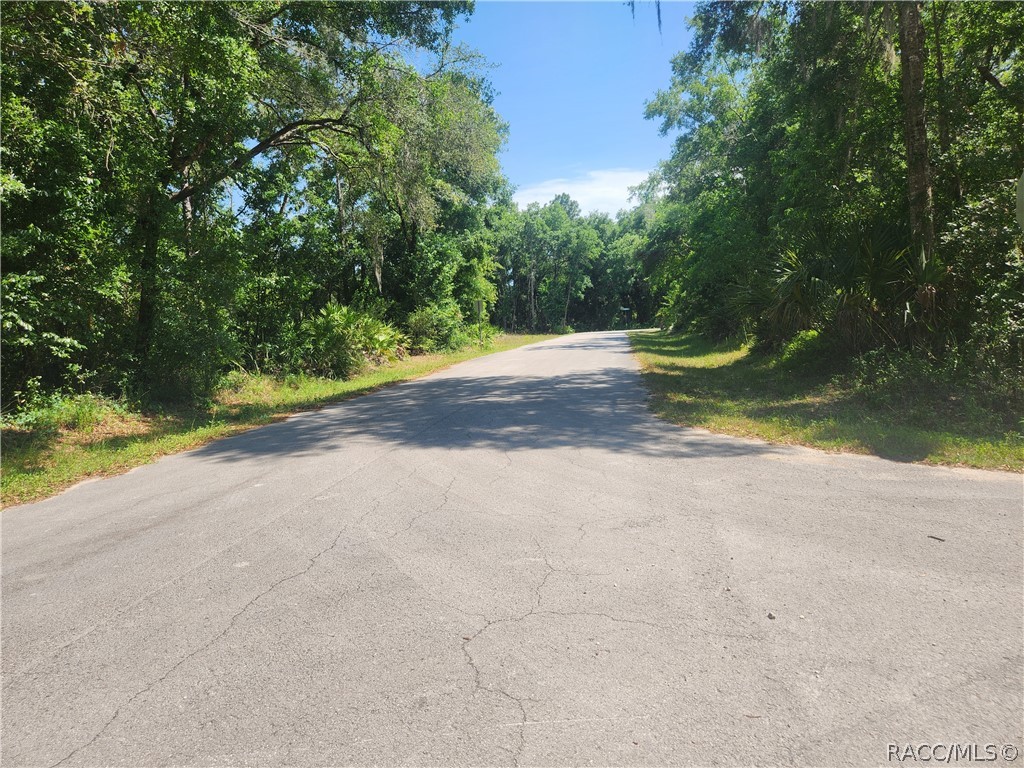 9543 W Tennessee Lane, Crystal River, Florida image 11