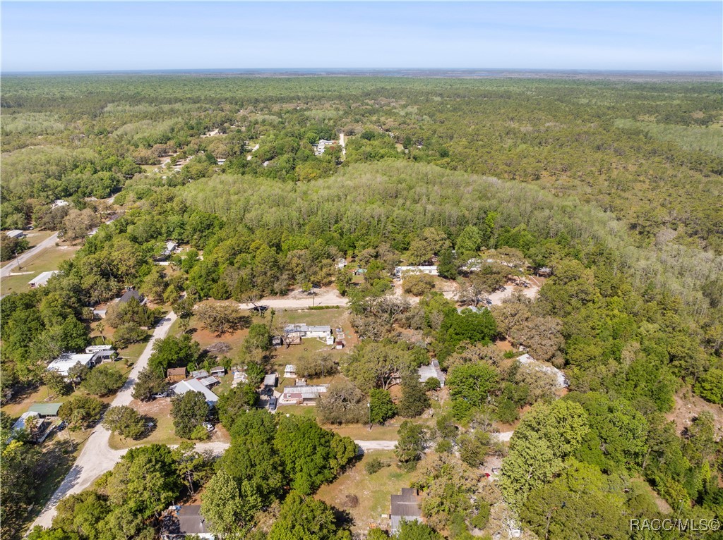 11351 S Ann Point, Homosassa, Florida image 31