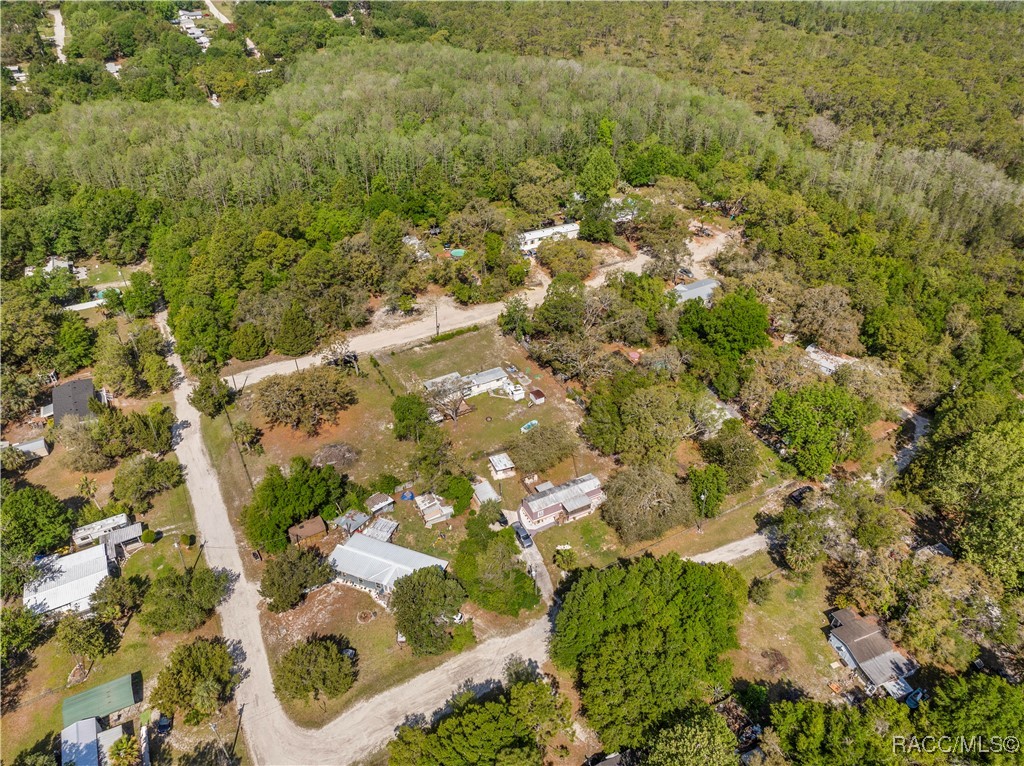 11351 S Ann Point, Homosassa, Florida image 33