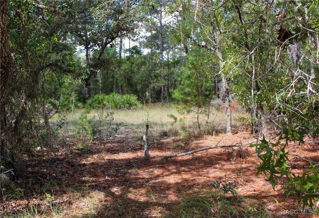 5784 N Durango Terrace