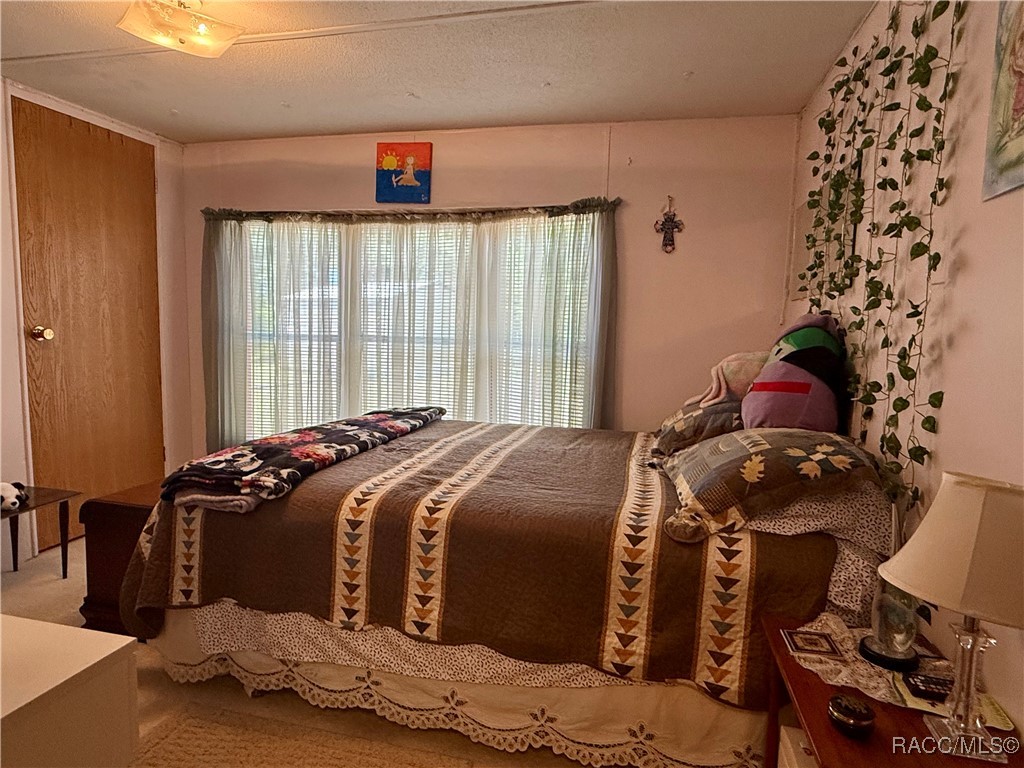 310 Debra Street, Inglis, New York image 10
