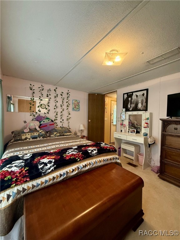310 Debra Street, Inglis, New York image 11