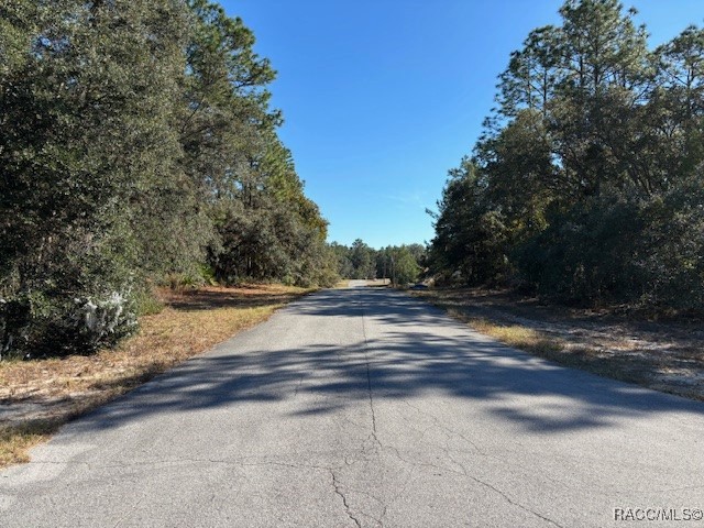 SW 65th Avenue Road, Ocala, Florida image 6