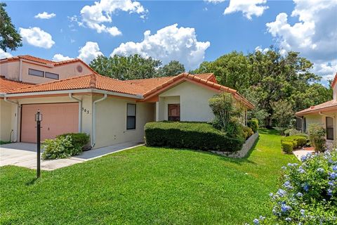 503 Palma Ceia Point Inverness FL 34450