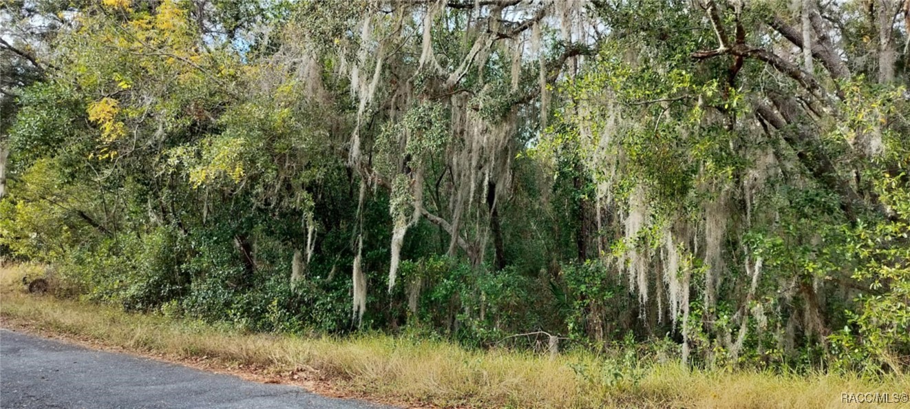 965 S Sally Terrace, Inverness, Florida image 9