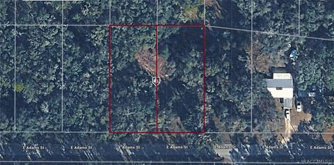 Vacant Land For Sale - 3793 & 3781 E Adams Street<br/> Hernando, FL 34442