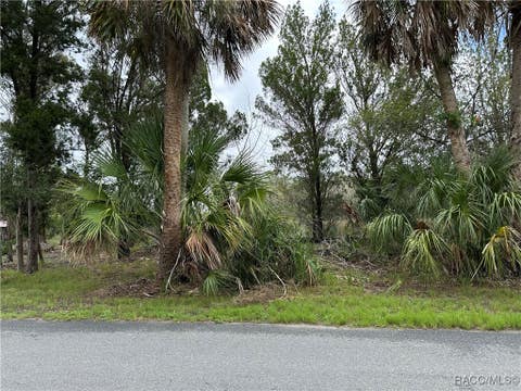 Vacant Land For Sale - 12345 W Standish Drive<br/> Homosassa, FL 34448