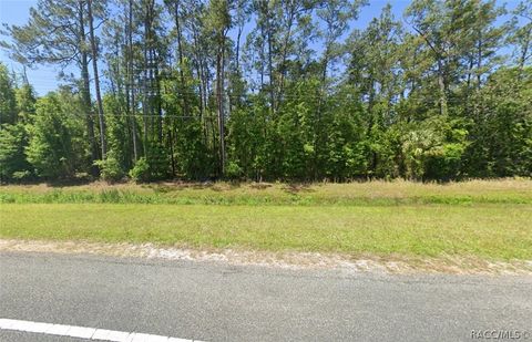 Vacant Land For Sale - 00 SE Us 19 Highway<br/> Otter Creek, FL 32683