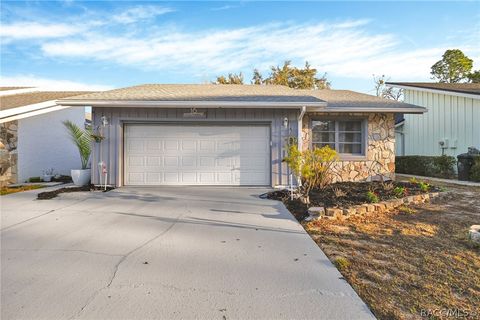 16 Golfview Court Homosassa FL 34446