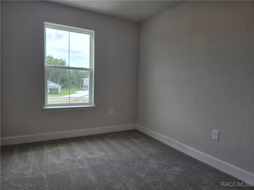 267 Bittern Loop, Inverness, Florida image 16