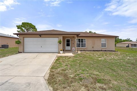 Homes For Sale - 3811 S Red Eagle Terrace<br/> Homosassa, FL 34448