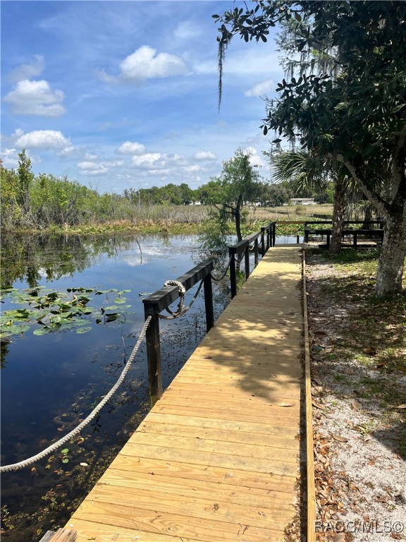 3815 N Webb Point, Hernando, Florida image 9