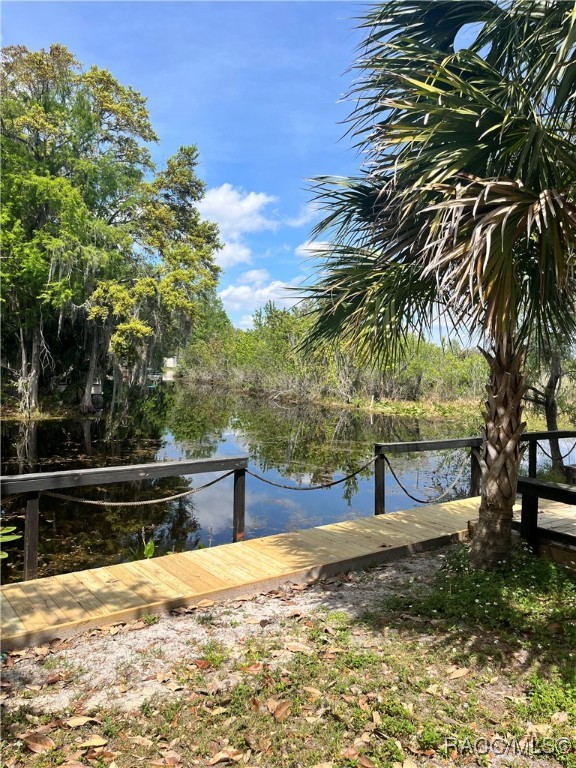 3815 N Webb Point, Hernando, Florida image 8