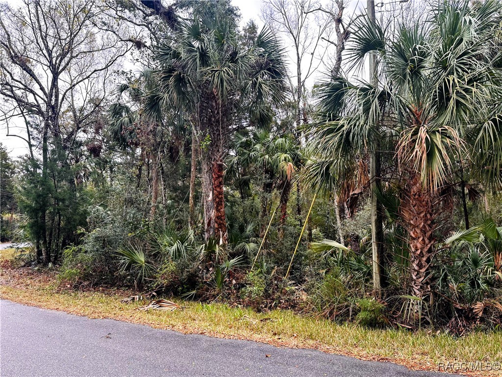 6250 S Banyon Drive, Homosassa, Florida image 5