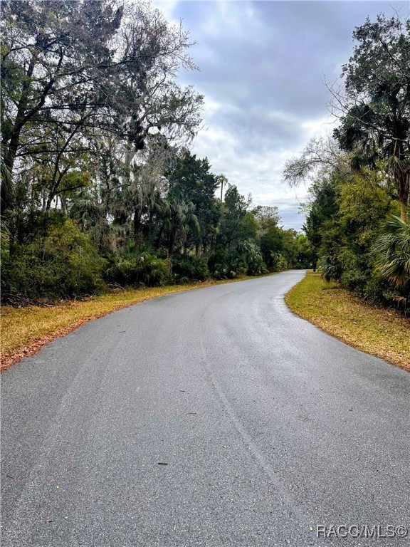 6250 S Banyon Drive, Homosassa, Florida image 4