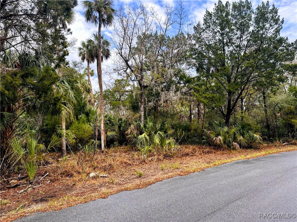 6250 S Banyon Drive, Homosassa, Florida image 1