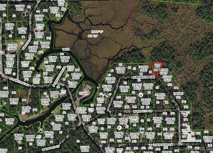 6250 S Banyon Drive, Homosassa, Florida image 6