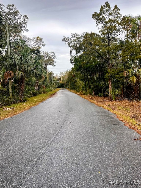 6250 S Banyon Drive, Homosassa, Florida image 2