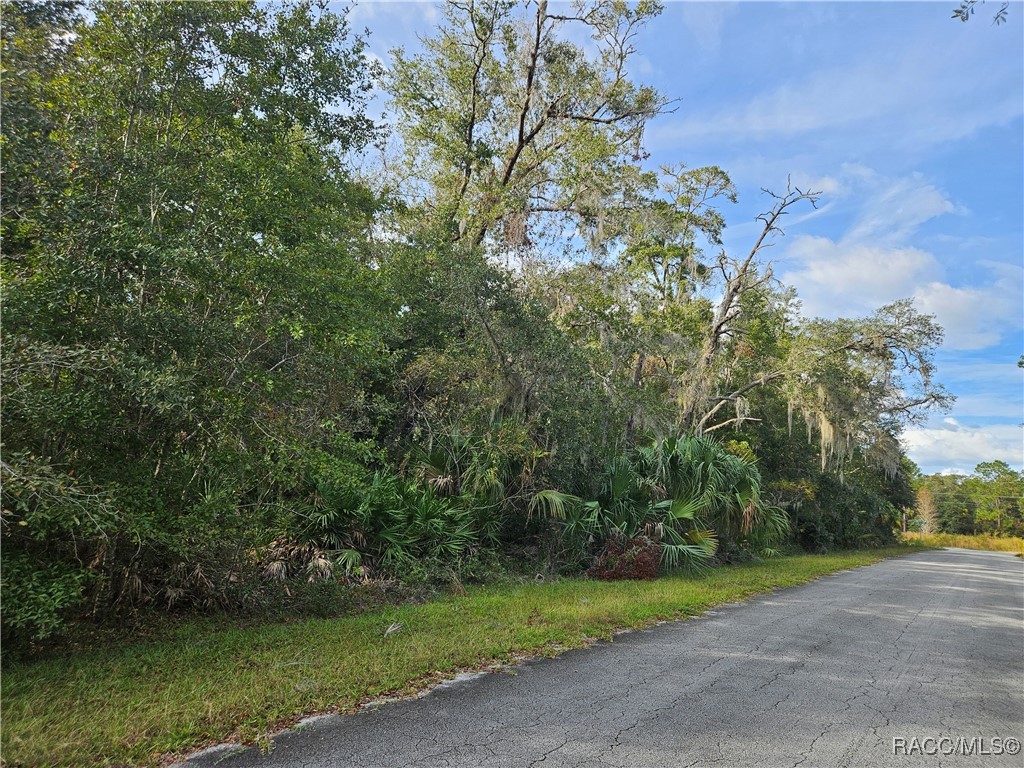 12646 W Cypress Vine Lane, Crystal River, Florida image 4