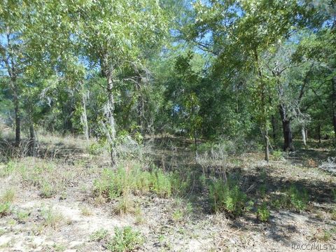 Vacant Land For Sale - 5225 E Prentice Lane<br/> Inverness, FL 34452