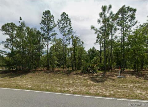 Vacant Land For Sale - 1782 W Hampshire Boulevard<br/> Citrus County, Citrus Springs, FL 34434