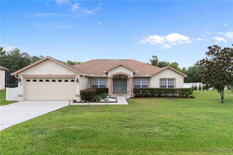 7 Bigleaf Court Homosassa FL 34446