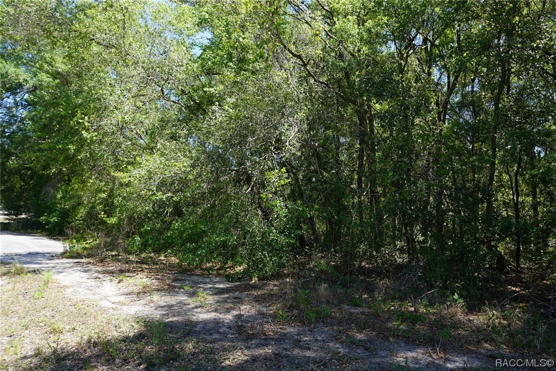 1684 E Manko Drive, Hernando, Florida image 8